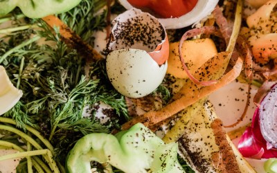 El desperdicio alimentario en invierno